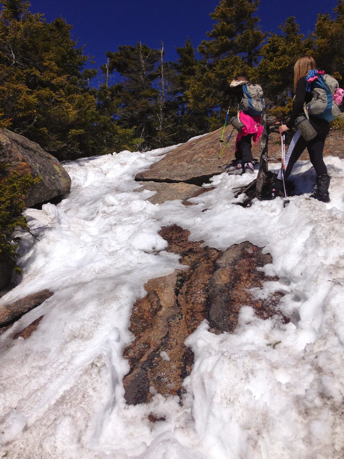 The Terrifying 25: Blueberry Ledge Trail
