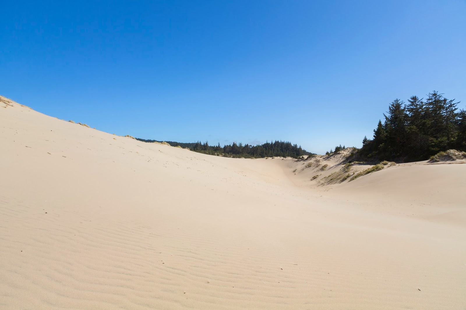 Naturetastic Blog Oregon Dunes National Recreation Area, Umpqua River