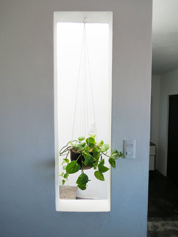 How to make a leather plant hanger Ohoh Blog