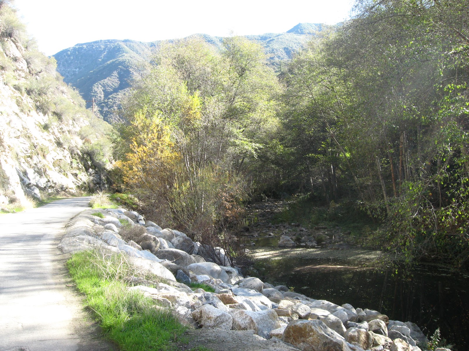 Velo Course West Fork Extra...