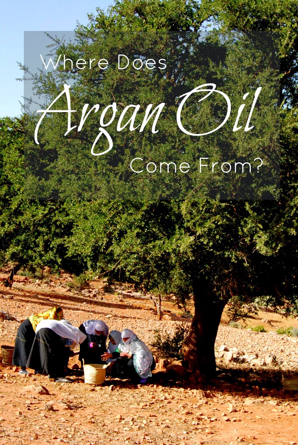 Do you know where does Argan Oil come from? So interesting!