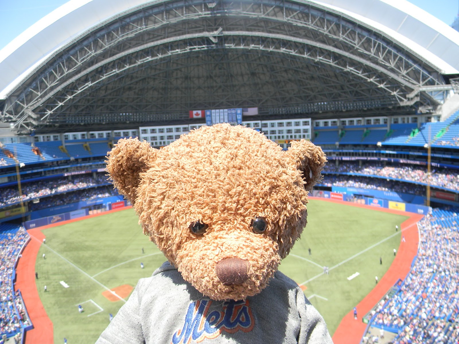 Studious Metsimus: Joey&rsquo;s World Tour: Weekend In Toronto