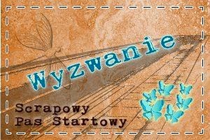 http://scrapowypasstartowy.blogspot.ie/2014/04/mapkowo-kwietniowo-majowo.html