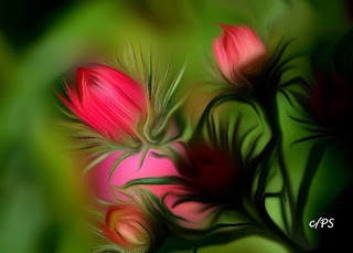 Blumen, flores, Flower, fleurs, květiny, Flores, blomme Fauna, Flora, Tiere, Vögel, Fische, Insekten, Blumen, Bäume, Berge, Meer, Ozean, Natur, Sonne, Mond, animals, birds, fish, insects, flowers, trees, mountains,
