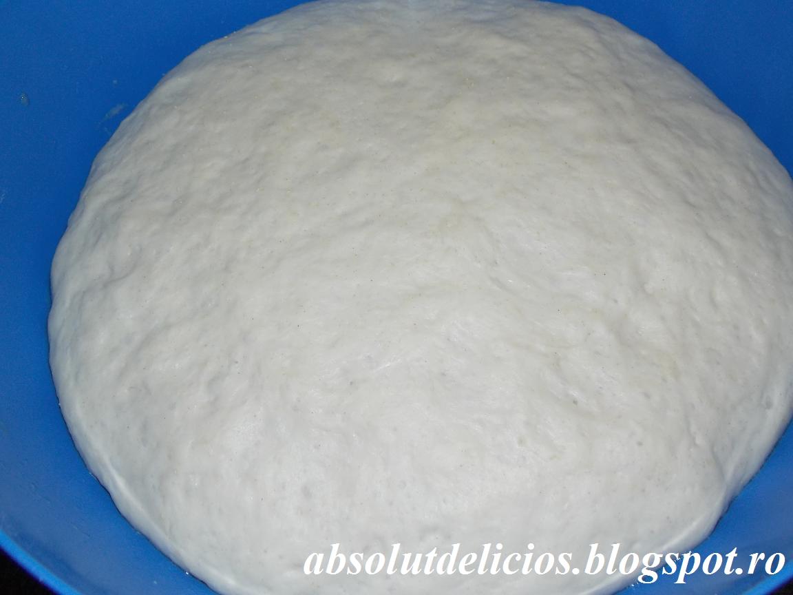 Absolut Delicios: PITA BREAD FILLED WITH MEAT AND MUSHROOMS