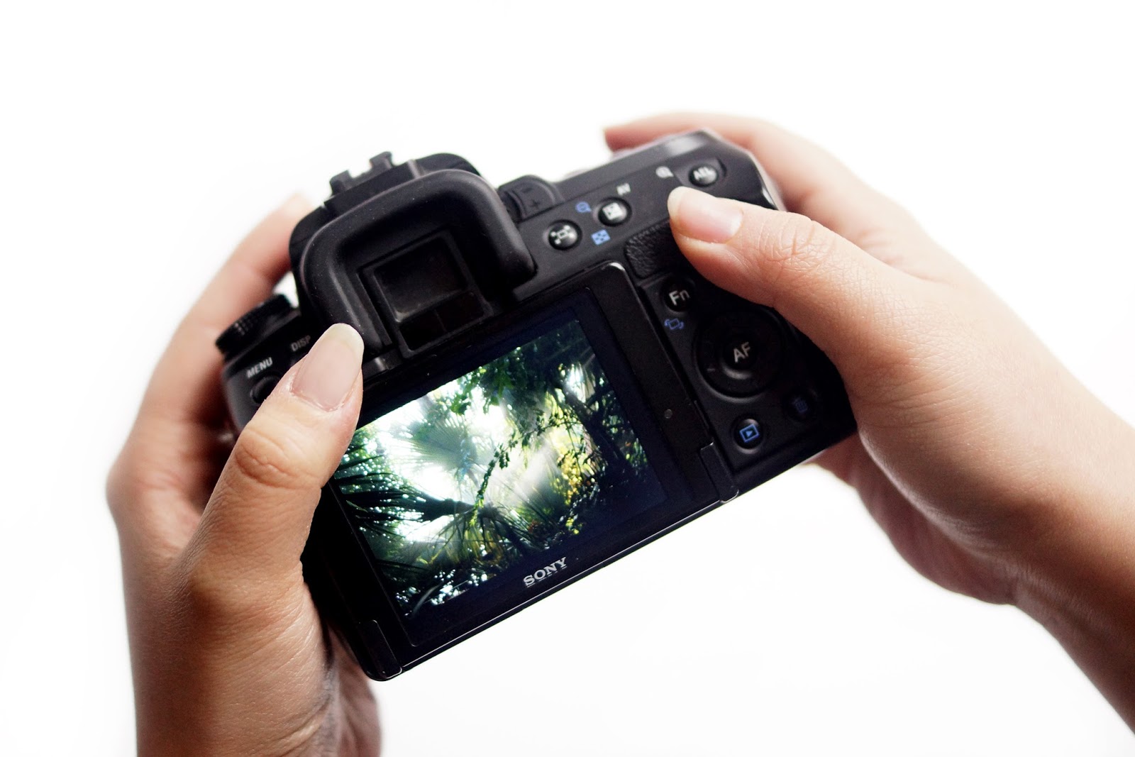 MY PHOTOGRAPHY KIT & SETUP. Barely There Beauty A Lifestyle Blog