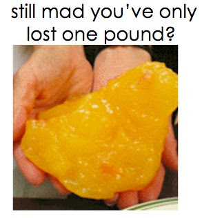 Pound Of Body Fat 120