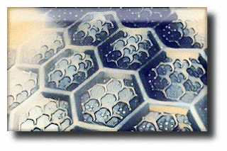 Mitochondrial Eve Mitochondrial Eve