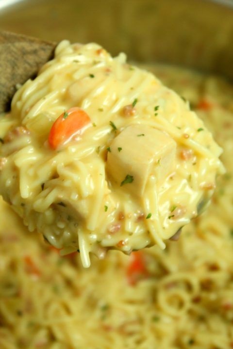 Crack Chicken Noodle Soup