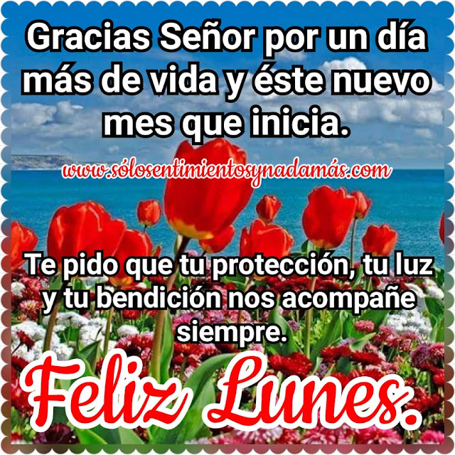 Feliz lunes.