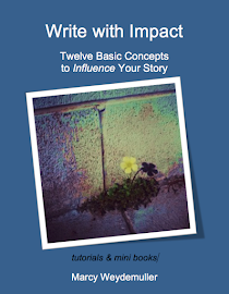 Twelve Basic Concepts to Influence Your Story