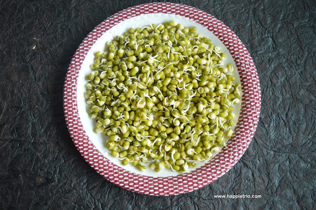 Green Gram Sprouts | Mung Bean Sprouts | How to sprout Green Gram