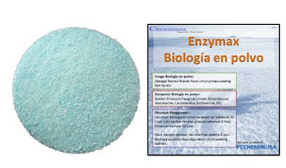 Cara menggunakan bakteri yang bisa menyerap polutan