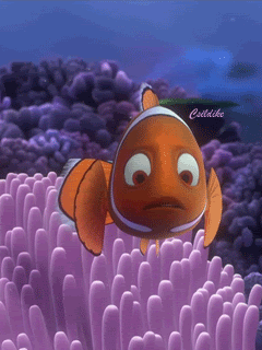 100+ Wallpaper Bergerak Ikan Nemo HD Terbaik 100+ Wallpaper Bergerak Ikan Nemo HD Terbaik
