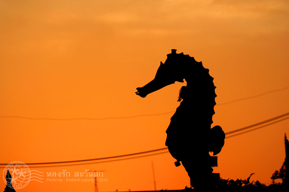 รวมภาพพระอาทิตย์ตกดิน