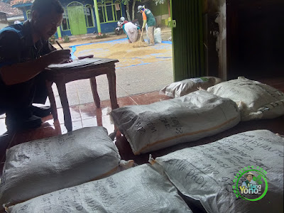 INDAH CARGO Pic Up benih ke warung benih MANGYONO.com INDAH CARGO Pic Up benih ke warung benih MANGYONO.com