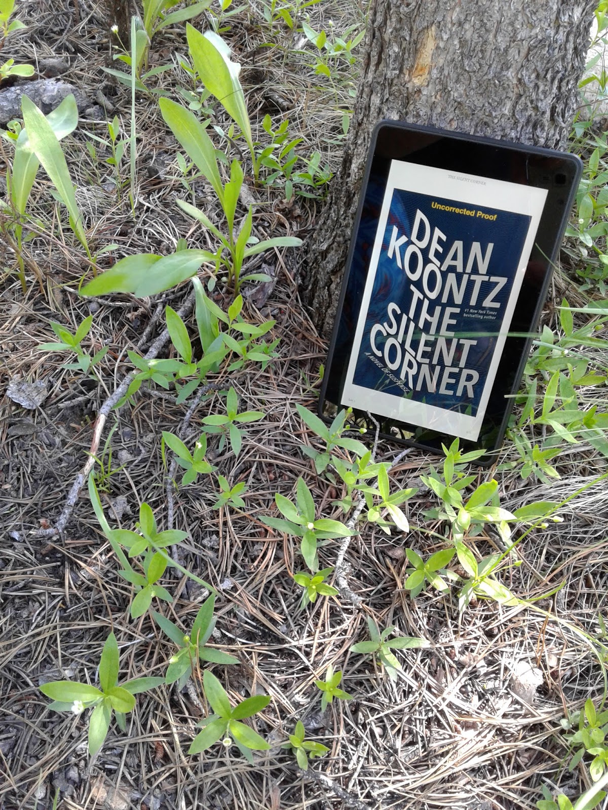 Margo Kelly Book Review The Silent Corner By Dean Koontz
