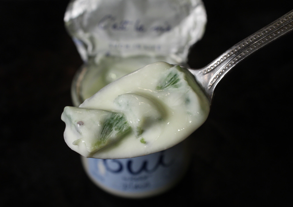 The 99 Cent Chef Kiwi & Yogurt Recipe