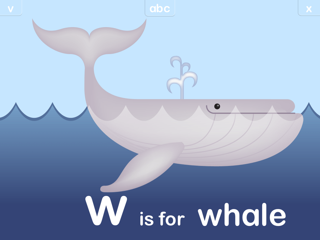 медуза. Whale транскрипция на русском. переводчик a whale. кит карточка на английском. горбатый кит строение.