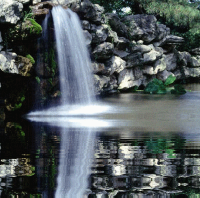 7.gif