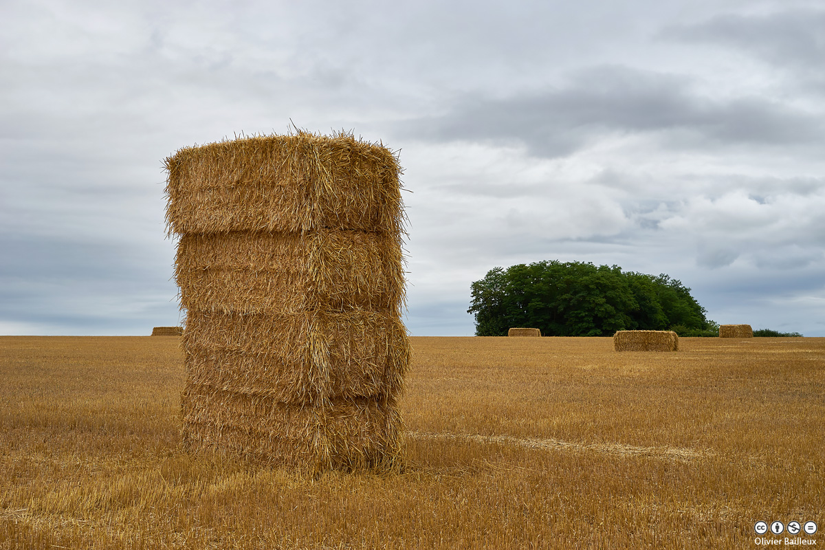 Bottes de paille