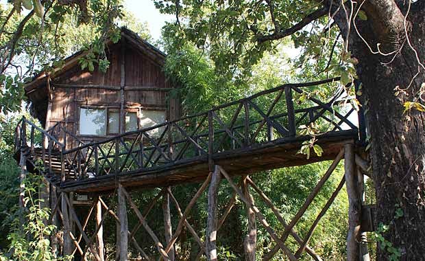 Tree House Hideaway in Bandhavgarh  IMAGES, GIF, ANIMATED GIF, WALLPAPER, STICKER FOR WHATSAPP & FACEBOOK 