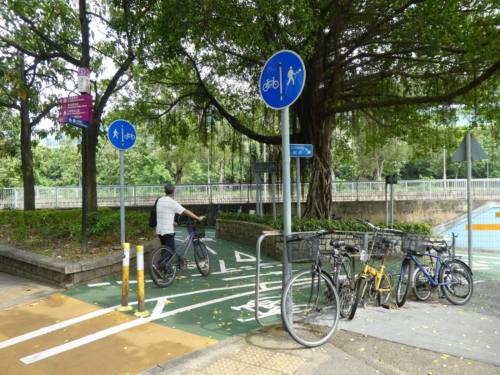 Hong Kong Bicycle Dh Shek O Hong Kong Bicycles Hire Shop Bike Village Bicycle Bikes Stock