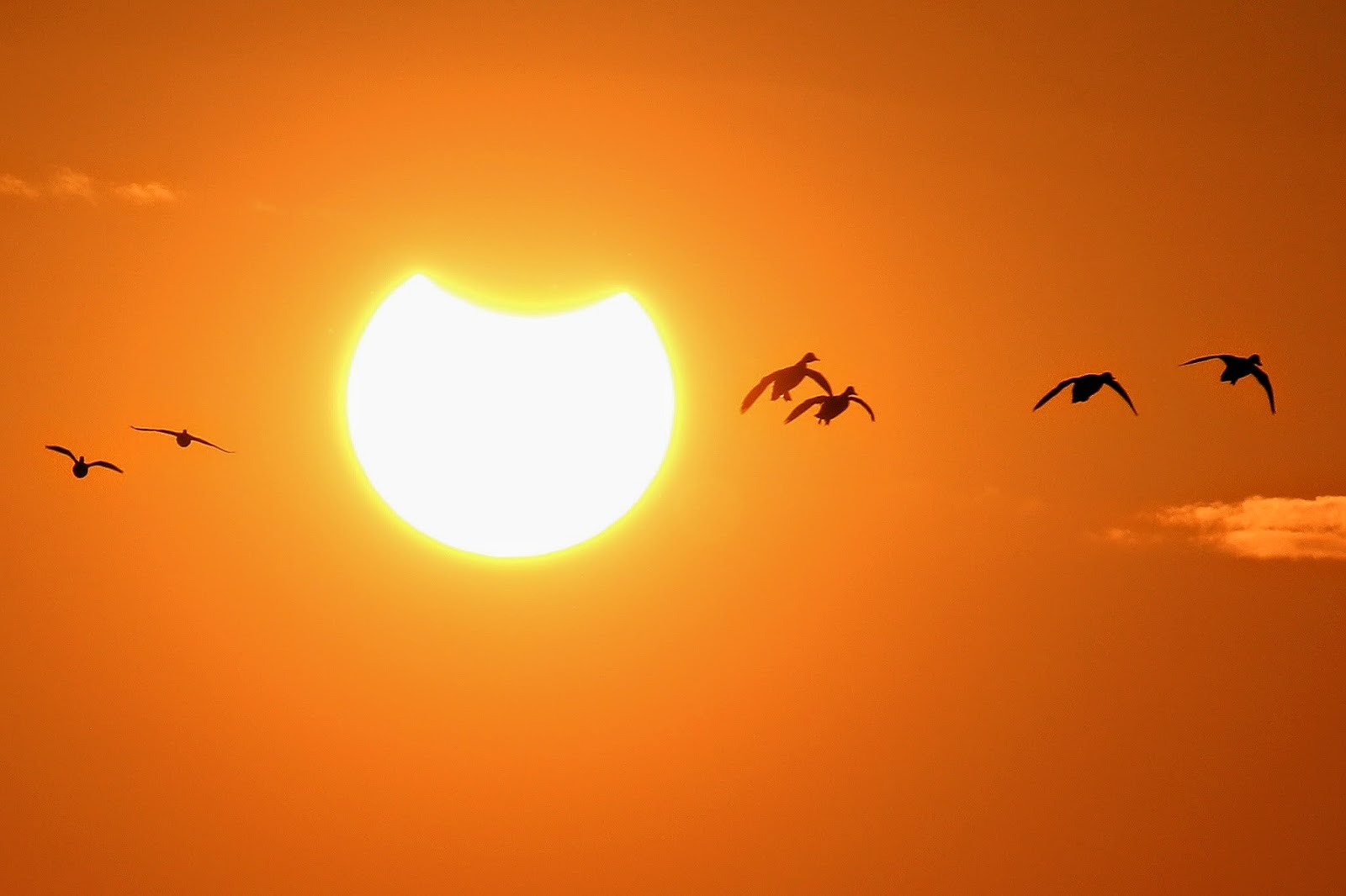 Dallas Trinity Trails 2014 Solar Eclipse Over Texas