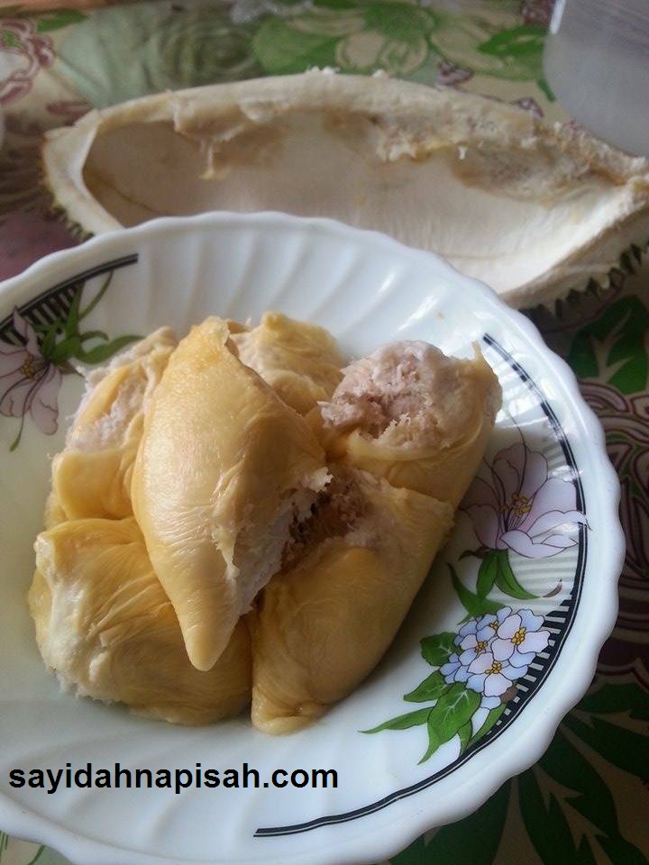 Tips Panduan Memilih Durian