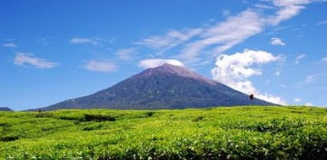 Daftar nama - nama gunung di indonesia: PROVINSI BENGKULU