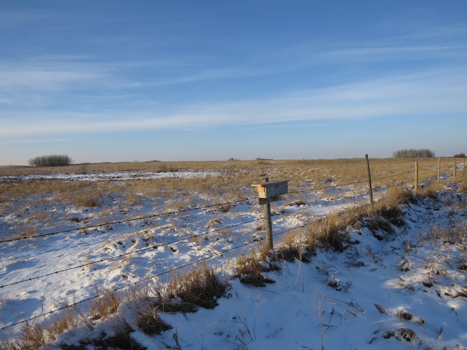 Trevor Herriot's Grass Notes Crown lands and the spirit of the treaties