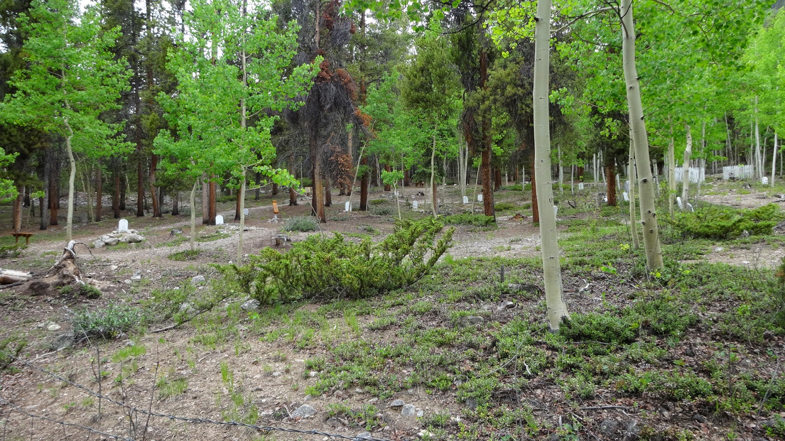 National Forest Camper Iron City Campground