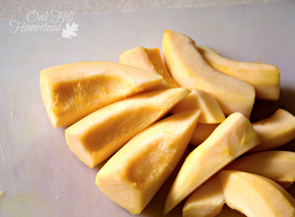 How to Freeze an Acorn Squash and Save Its Seeds Oak Hill Homestead