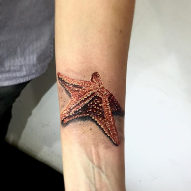 Tatuagens de estrela do mar Tatuagens de estrela do mar
