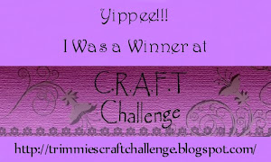 CRAFT Challenge