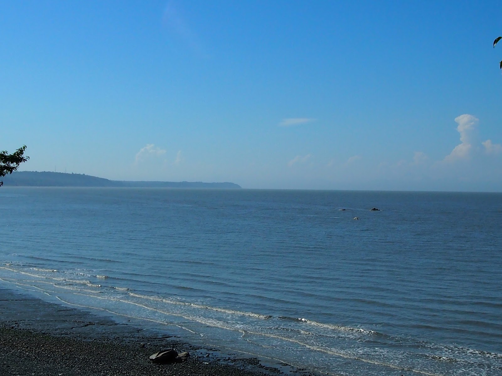 Relyea'sAdventures: 7-30-2013 Cook Inlet
