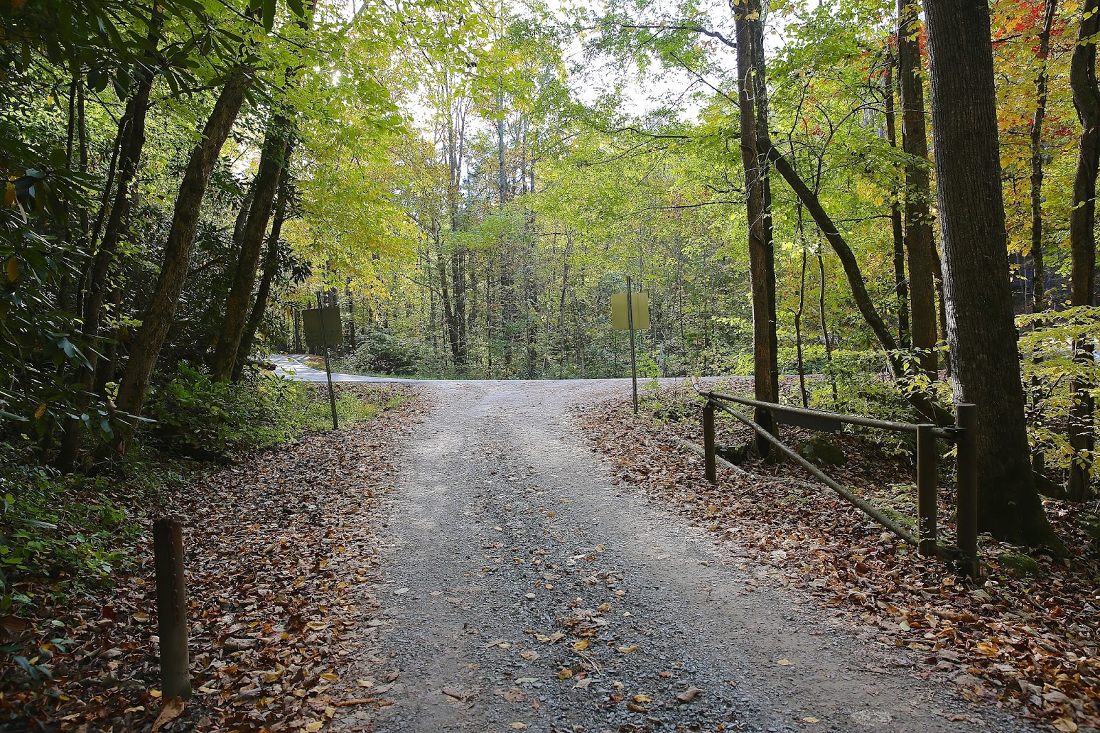 Sweet Southern Days Parson Branch Road In The Great Smoky Mountains