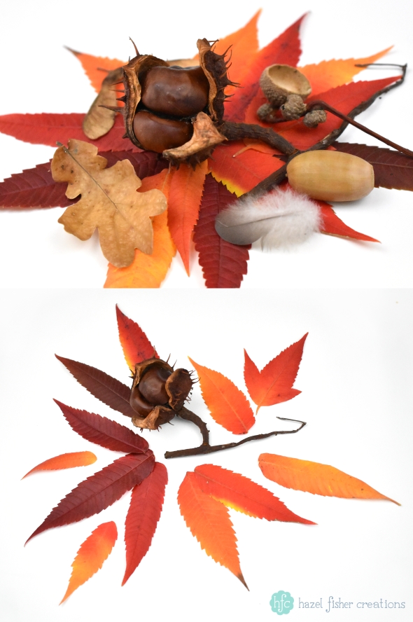 Things to Love About Autumn, Autumn Leaves photography by Hazel Fisher Creations Things to Love About Autumn, Autumn Leaves photography by Hazel Fisher Creations