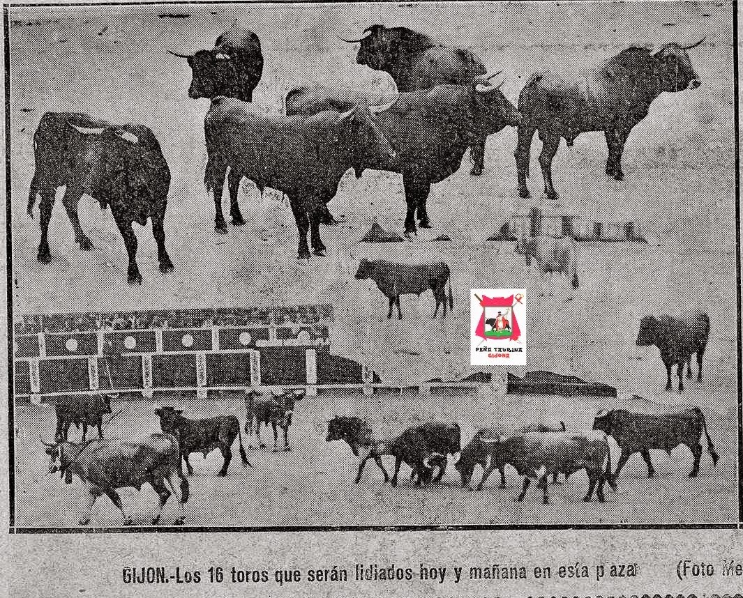 GIJON DESENCAJONAMIENTO DE TOROS