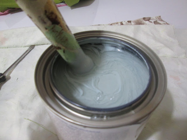 IMG 0004 - גינה בבית