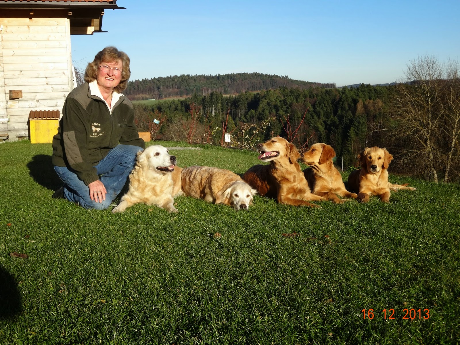 Hundeschule Für Kleine Hunde In Der Nähe Barbaras Hundeschule Maria Schmolln