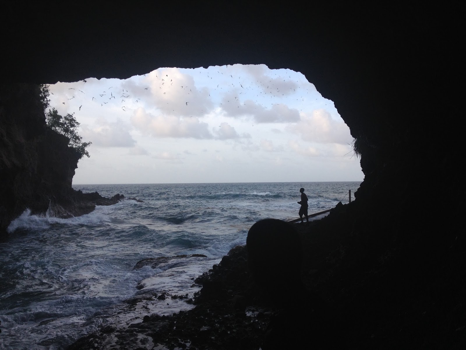 David Kurtz's Kuribbean Quest From West Virginia to the West Indies