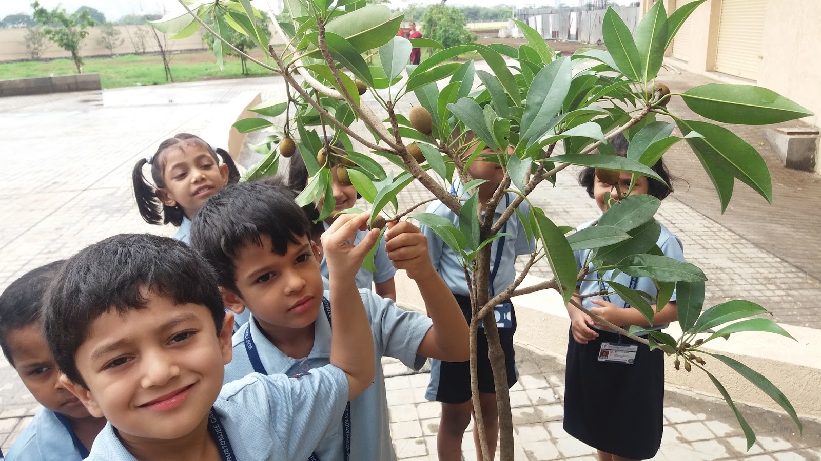 the-rustomjee-cambridge-thane-diaries-jr-kg-and-sr-kg-planting