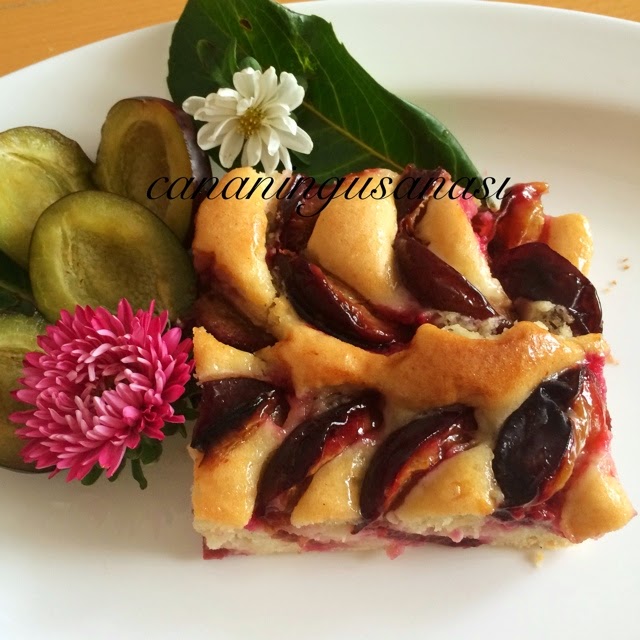 Erikli Pasta cananınguşanası