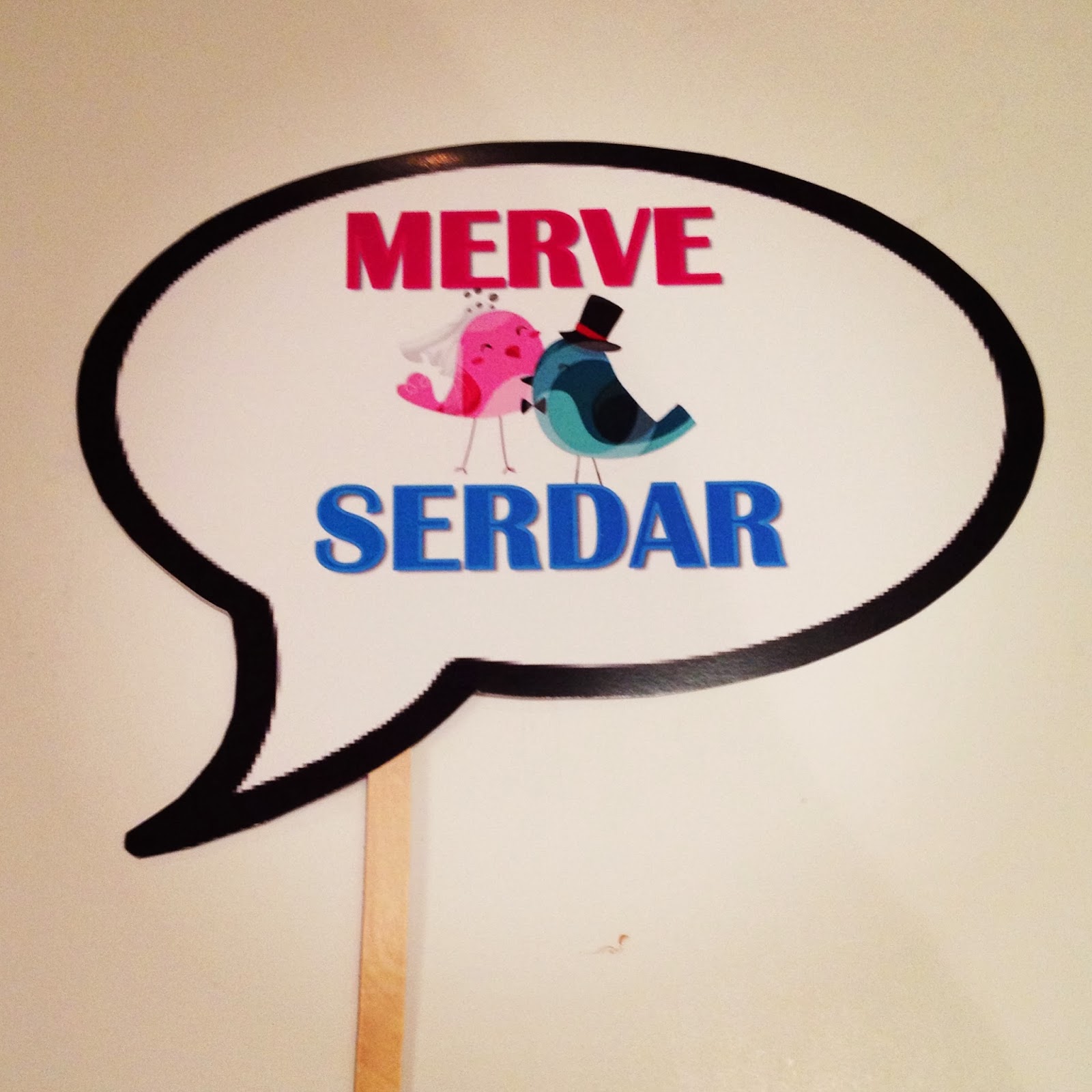 PARTİ DENİZİ: Ocak 2014