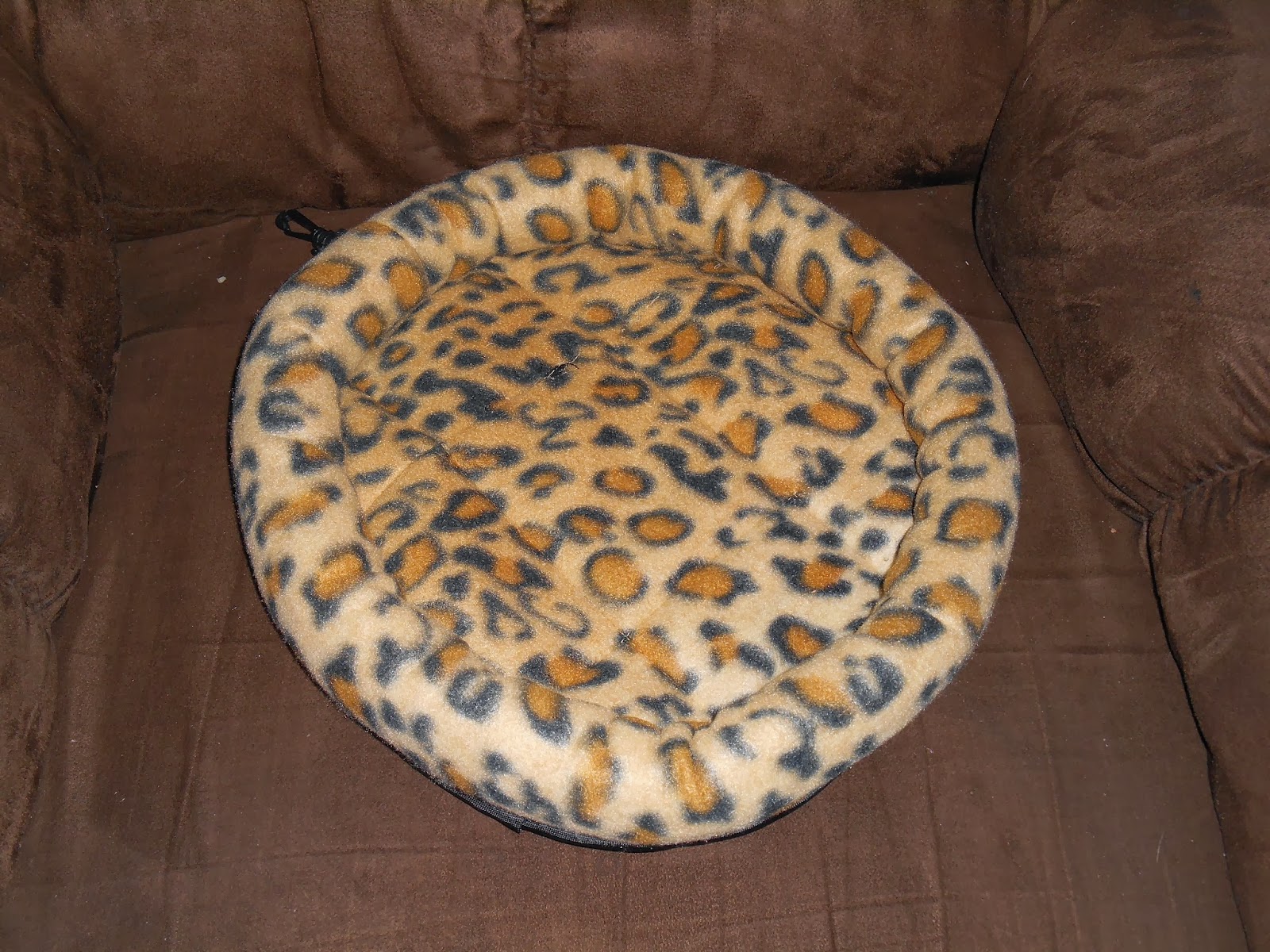 Dark Thoughts Weekly Rat Facts Using Fleece As Bedding