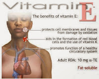 Benefits-of-Vitamin-E-in-Winter