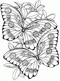 butterfly Coloring Pages For Kids butterfly Coloring Pages For Kids