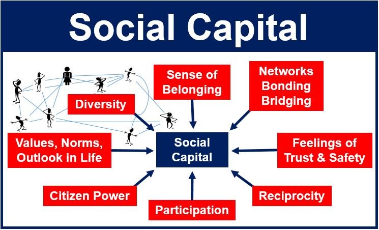 Type of social capital image