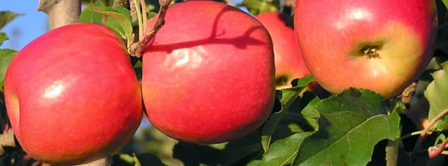 Image result for सà¥à¤¬ बाहर सॠतॠलाल हà¥à¤¤à¤¾ हॠहà¥